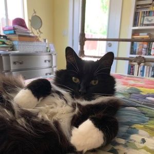 Meet your Posher, Chloe